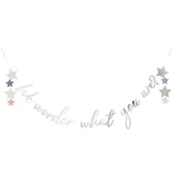 We Wonder What You Are Letter Banner - 2M<Party Delights Online