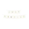 White Just Married Bunting - 1.5M<Party Delights New