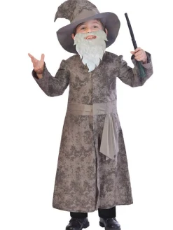 Kids' Party Delights Kids'<Wise Wizard - Child Costume