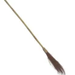 Witches Broom - 1.1M<Party Delights Best