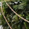Party Delights Hanging Decorations<Wooden Beads Garland - 3M
